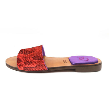 CLAIRE CORAL AND PURPLE